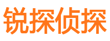 龙亭调查事务所